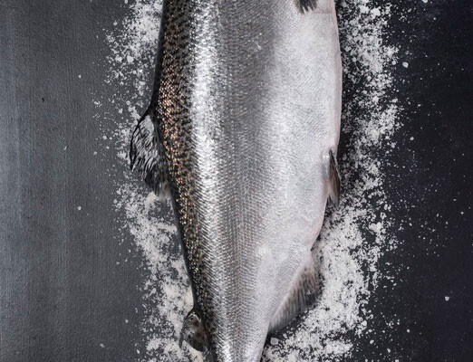 Patagonia Farmed King Salmon fresh