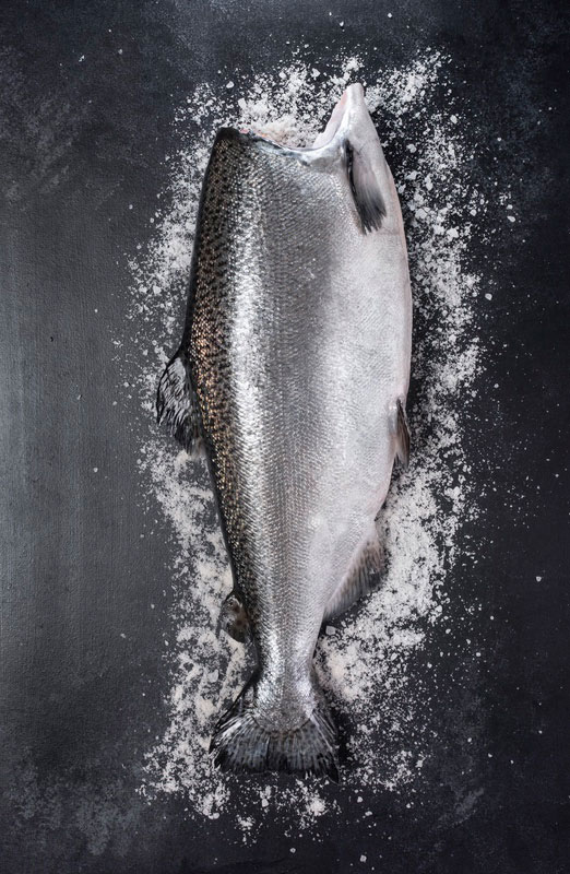 Patagonia Farmed King Salmon fresh