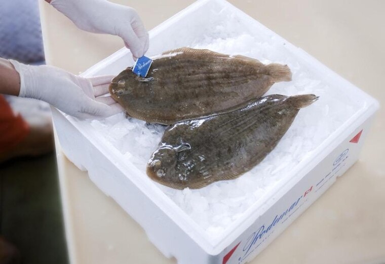 King Sole and King Turbot sold