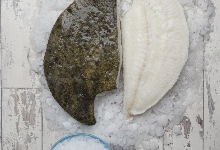 King Sole and King Turbot close up